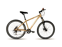 Electric Bikes